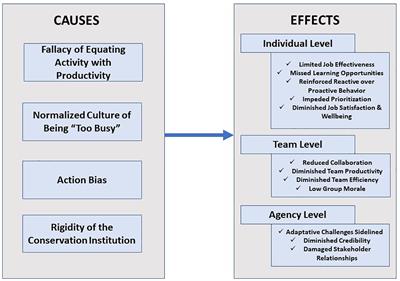 Taking time to think: The tyranny of being “too busy” and the practice of wildlife management